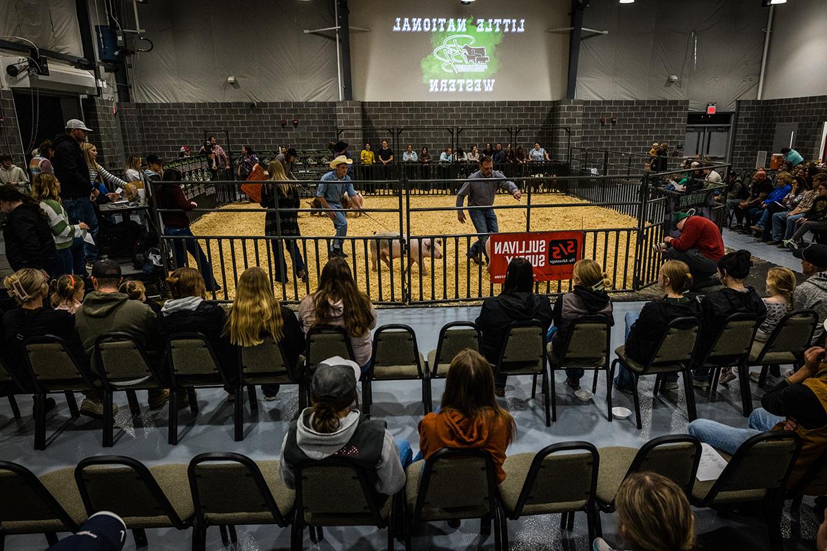 Advanced and novice showmen exhibited a variety of animal species during Block and Bridle’s Little National Western livestock show at Northwest's Agricultural Learning Center. (Photo by Todd Weddle/Northwest Missouri State University)